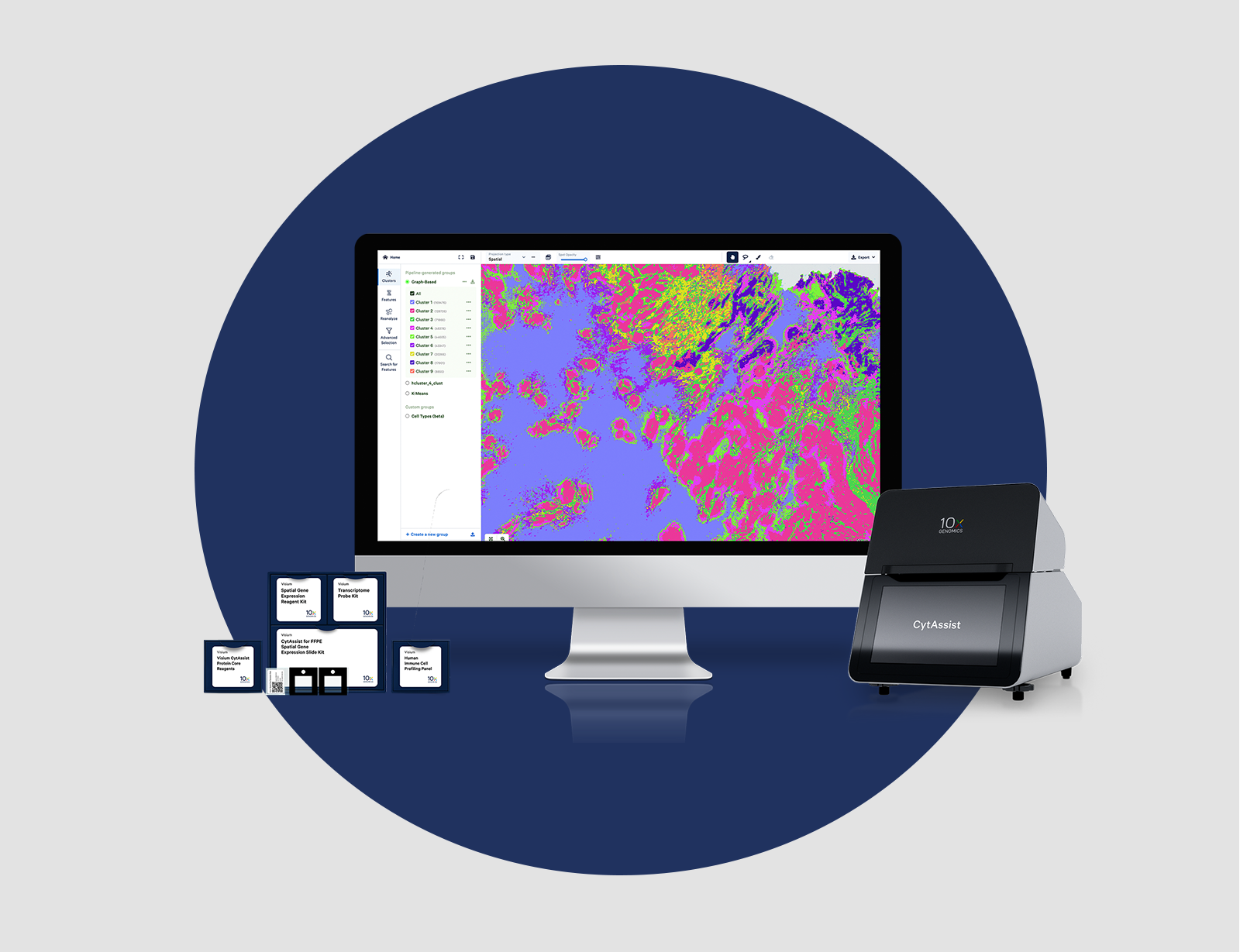 10x Genomics Visium Spatial Gene Expression